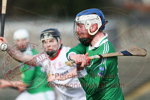 Fermanagh (2-8) V Tyrone (4-13) in Allianz Hurling League Division 3A