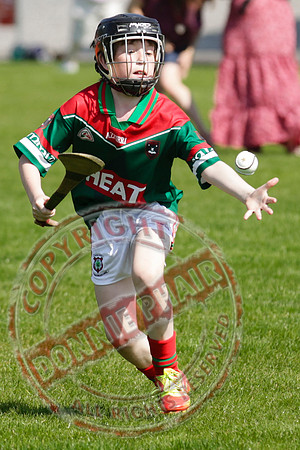 Opening of Lisnaskea GAA Emmetts Second Field - Youth Hurley.