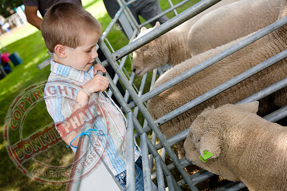 Belcoo Festival 2010