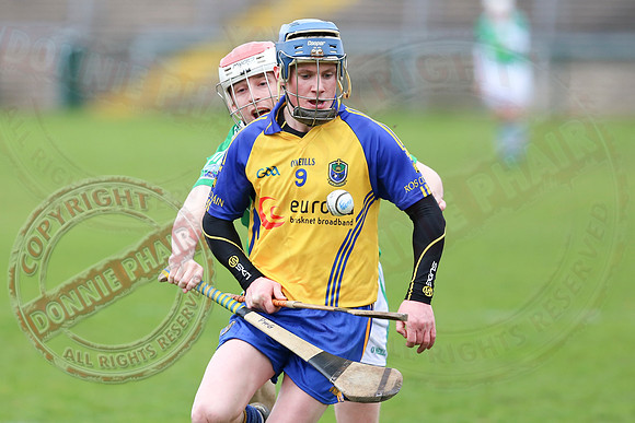 Fermanagh (0-10) V Roscommon (4-20) in National Hurling League Division 3A