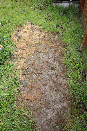Sewage Leak - Photo taken on 07/05/14.