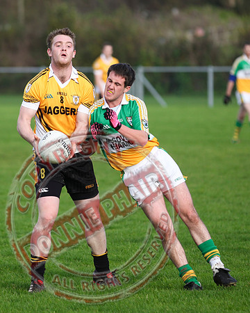 Derrylin V Coa in Senior MEn GAA Football.