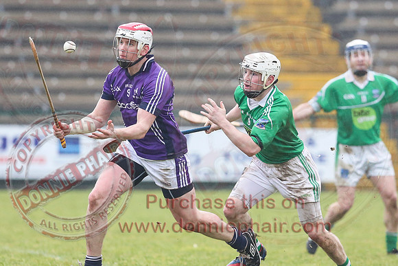 Fermanagh (1-16) V Fingal (3-13) in National Hurling League Division 3A
