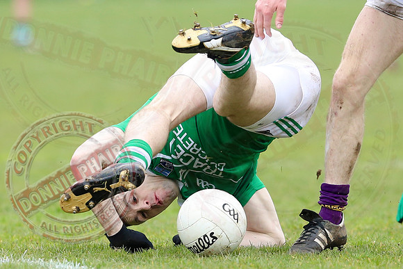 Fermanagh (2-20) V Wexford (3-8) in Allianz National Football League Division 3.