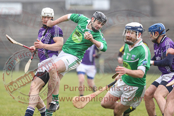 Fermanagh (1-16) V Fingal (3-13) in National Hurling League Division 3A