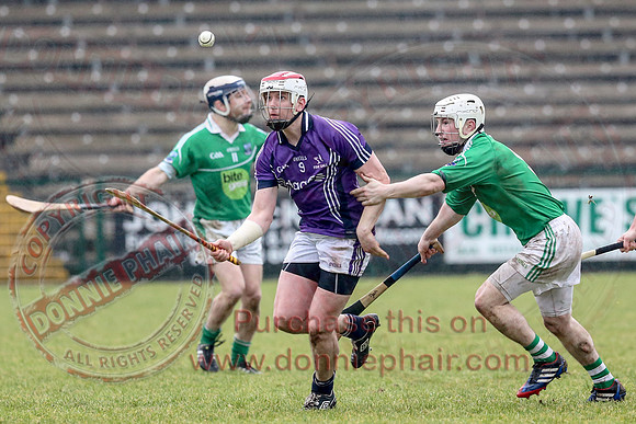 Fermanagh (1-16) V Fingal (3-13) in National Hurling League Division 3A