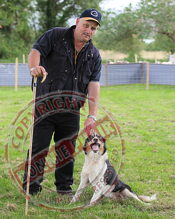 Sheepdog Trials in Belcoo.