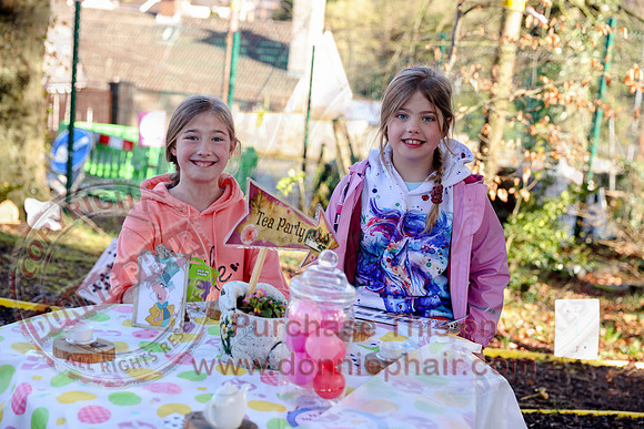 Alice in Wonderland Charity trail by Jones Memorial Primary School-3