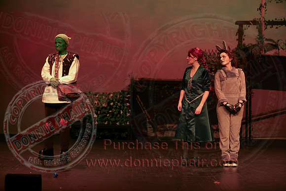Shrek by FMT - Donnie Phair-450