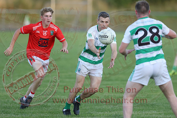 Teemore (3-15) V Newtownbutler (1-06) in Senior GAA Football Division Two-7