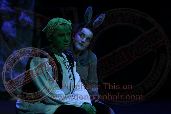 Shrek by FMT - Donnie Phair-312