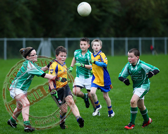Roslea V Enniskillen Gaels in U12 GAA Football B Final.