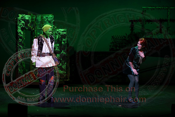 Shrek by FMT - Donnie Phair-406