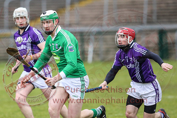 Fermanagh (1-16) V Fingal (3-13) in National Hurling League Division 3A