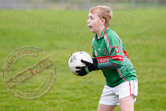 Dundas Shield GAA Tournament for U12 in Lisnaskea.