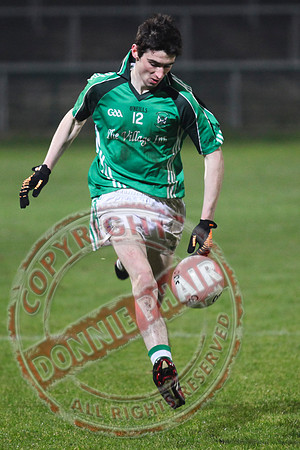 Fermanagh GAA Senior Men League Final Between Roslea (Winners) and Devenish from Garrison