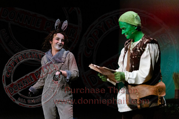Shrek by FMT - Donnie Phair-95