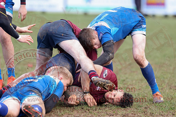 Enniskillen !st XV (36) V Portadown 1st XV (12) in Bank of Ireland Towns Cup-12