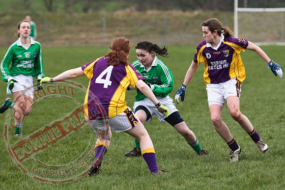 Fermanagh Senior Ladies GAA V Wexford in Teemore