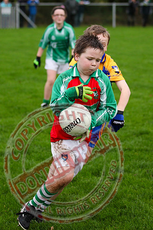 Roslea V Enniskillen Gaels in U12 GAA Football B Final.