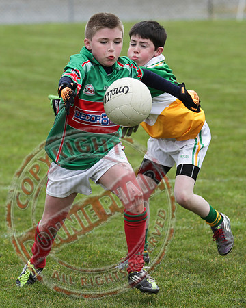 Derrylin V Lisnaskea in Minor GAA Football Final.