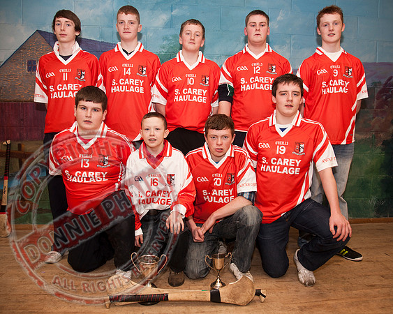 Knocks Grattan Hurling Club with their New Jerseys.