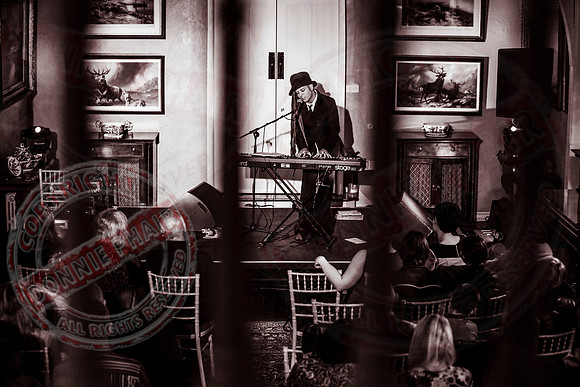 Islander Festival - Music in Belle Isle Estate