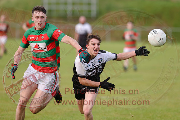 Aghadrumsee (1-10) V Lisnaskea (2-12) in Senior GAA Football League Division Two-10