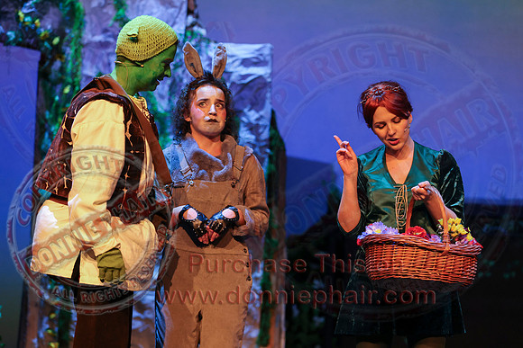 Shrek by FMT - Donnie Phair-354