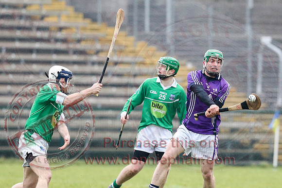 Fermanagh (1-16) V Fingal (3-13) in National Hurling League Division 3A