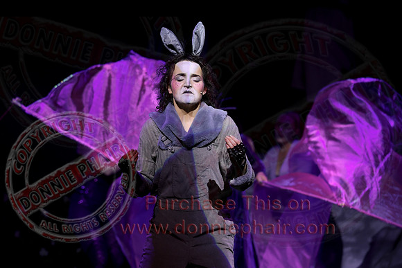 Shrek by FMT - Donnie Phair-243
