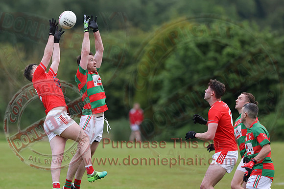 Lisnaskea (5-05) V Newtownbutler (1-11) in Divison Two Club Players Competition Playoff-1