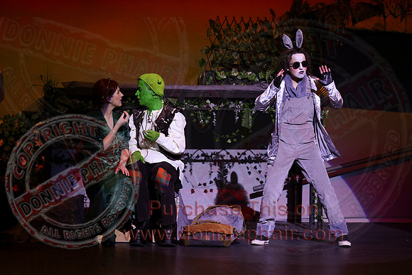 Shrek by FMT - Donnie Phair-470