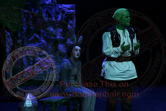 Shrek by FMT - Donnie Phair-313