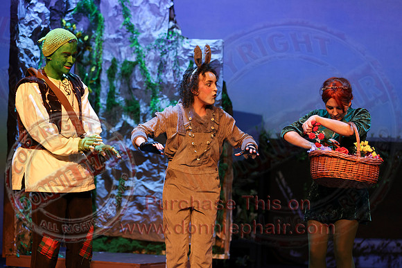 Shrek by FMT - Donnie Phair-356