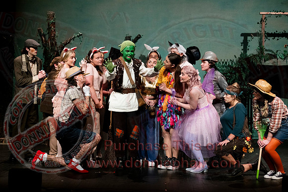 Shrek by FMT - Donnie Phair-76