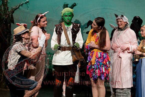Shrek by FMT - Donnie Phair-73