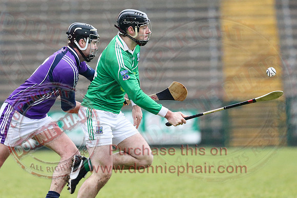 Fermanagh (1-16) V Fingal (3-13) in National Hurling League Division 3A