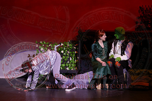 Shrek by FMT - Donnie Phair-482