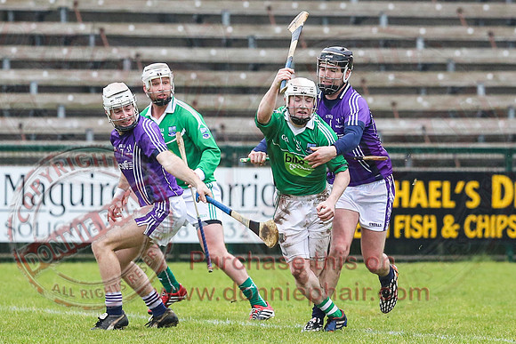 Fermanagh (1-16) V Fingal (3-13) in National Hurling League Division 3A