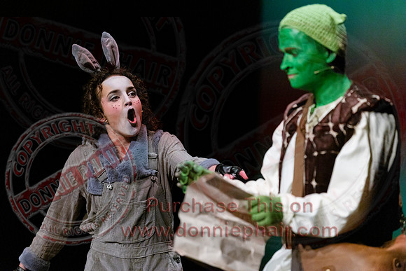 Shrek by FMT - Donnie Phair-93