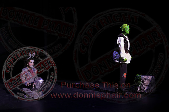 Shrek by FMT - Donnie Phair-324