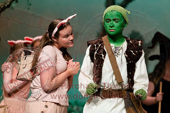 Shrek by FMT - Donnie Phair-72