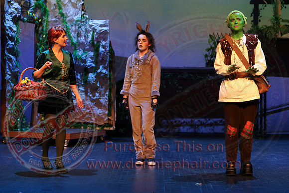 Shrek by FMT - Donnie Phair-360