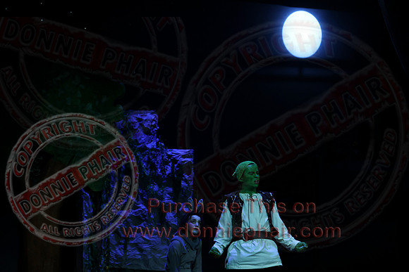 Shrek by FMT - Donnie Phair-314