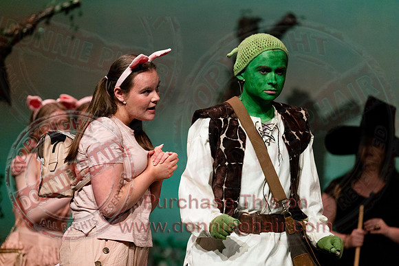 Shrek by FMT - Donnie Phair-71