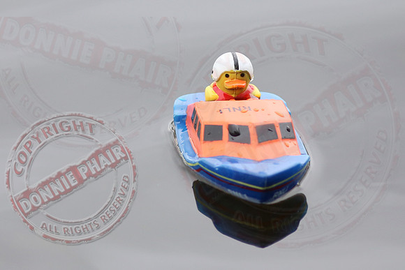 Charity Swim in Erne River in aid of RNLI.