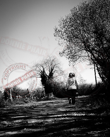 "A Walk Down the Lane"
