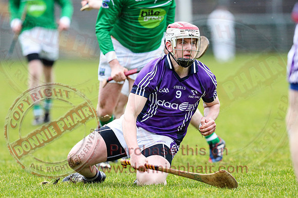 Fermanagh (1-16) V Fingal (3-13) in National Hurling League Division 3A