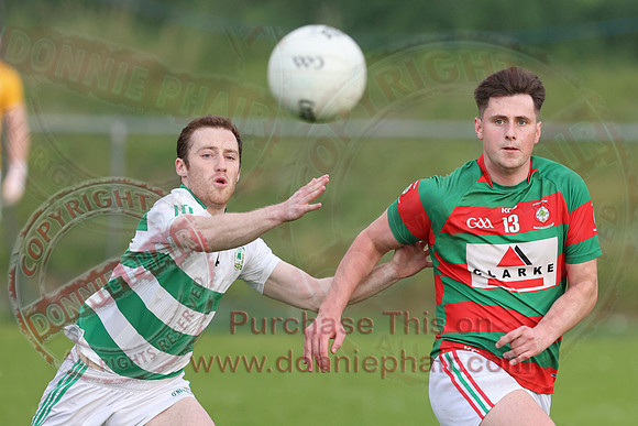 Teemore (2-10)V Lisnaskea (1-10) in Senior GAA Football League Division Two-10